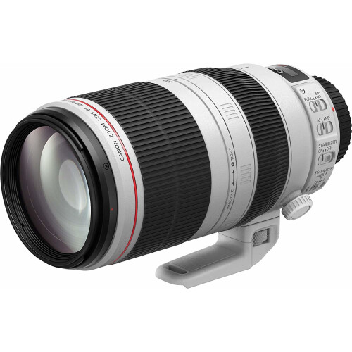 Canon EF 100-400 mm f/4.5-5.6L IS II USM Objektiv | Canon Teleobjektiv